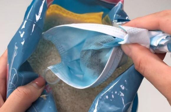 Hóa ra mọt gạo sợ nhất là “nó”, bỏ một ít vào túi gạo để cả năm không lo sâu mọt Hóa ra mọt gạo sợ nhất là “nó”, bỏ một ít vào túi gạo để cả năm không lo sâu mọt