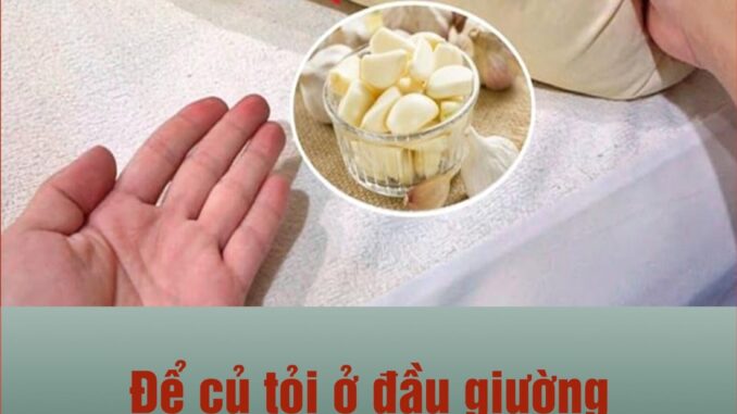 Để củ tỏi ở đầu giường, công dụng “vàng 10”, ai đọc xong cũng muốn làm thử Để củ tỏi ở đầu giường, công dụng “vàng 10”, ai đọc xong cũng muốn làm thử