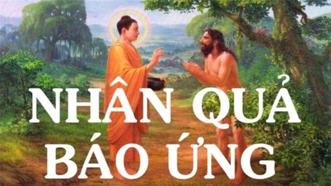 Phật dạy 10 điều về Luật nhân quả báo ứng, ai hiểu được sẽ đạt đến cuộc sống an yên Phật dạy 10 điều về Luật nhân quả báo ứng, ai hiểu được sẽ đạt đến cuộc sống an yên