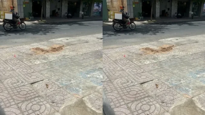 Bắt nghi phạm người Hàn Quốc cầm đá sá.t hạ.i đồng hương ở Q.3 Bắt nghi phạm người Hàn Quốc cầm đá sá.t hạ.i đồng hương ở Q.3