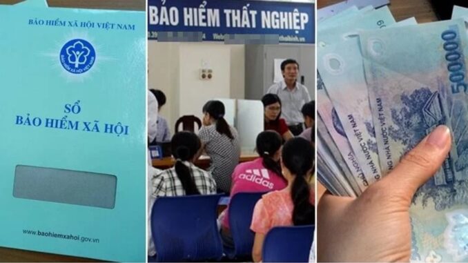Điều kiện và mức hưởng bảo hiểm thất nghiệp cho người lao động theo Luật mới nhất năm 2025: Mọi người cần nắm rõ Điều kiện và mức hưởng bảo hiểm thất nghiệp cho người lao động theo Luật mới nhất năm 2025: Mọi người cần nắm rõ