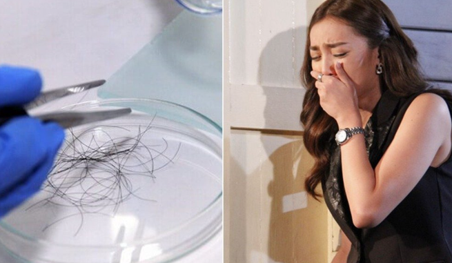 Chồng đi t ù 5 năm, mỗi lần vợ con đến thăm đều nhổ 1 sợi tóc, lúc ra t ù vợ mới biết sự thật thì bật khóc Chồng đi t ù 5 năm, mỗi lần vợ con đến thăm đều nhổ 1 sợi tóc, lúc ra t ù vợ mới biết sự thật thì bật khóc