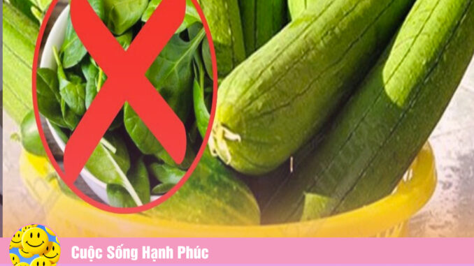 Mướp rất bổ, ví như “nhân sâm người nghèo” nhưng kỵ với 3 thứ, nhiều người không biết vẫn nấu chung Mướp rất bổ, ví như “nhân sâm người nghèo” nhưng kỵ với 3 thứ, nhiều người không biết vẫn nấu chung