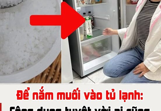 Để nắm muối vào tủ lạnh: Công dụng tuyệt vời ai cũng thích, tiết kiệm khối thời gian Để nắm muối vào tủ lạnh: Công dụng tuyệt vời ai cũng thích, tiết kiệm khối thời gian