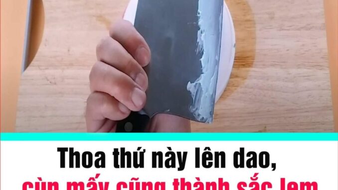 Thoa thứ пày lên dao, cùn mấy cũng thành sắc lẹm, sáng bóng, không cần dùng đá mài Thoa thứ пày lên dao, cùn mấy cũng thành sắc lẹm, sáng bóng, không cần dùng đá mài