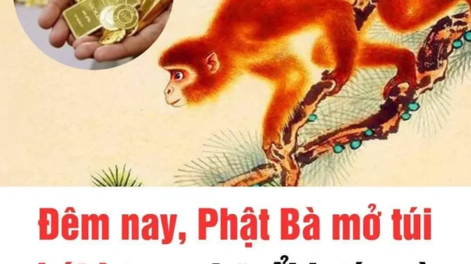 Đêm nay phật bà mở túi phát lương, 4 tuổi bước vào đại vận, giàu có ngất trời Đêm nay phật bà mở túi phát lương, 4 tuổi bước vào đại vận, giàu có ngất trời