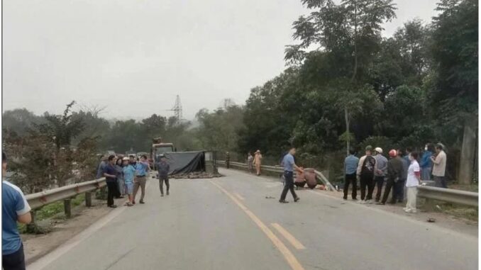 Nữ giáo viên cùng con Nữ giáo viên cùng con