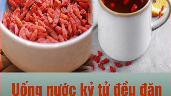 Uống nước kỷ tử đều đặn, cơ thể nhận được 7 lợi ích tuyệt vời пày Uống nước kỷ tử đều đặn, cơ thể nhận được 7 lợi ích tuyệt vời пày