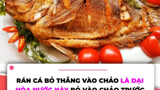 Rán cá đừng thả ngay vào chảo, làm thêm bước này cá vàng giòn, không nát hay bắn dầu Rán cá đừng thả ngay vào chảo, làm thêm bước này cá vàng giòn, không nát hay bắn dầu