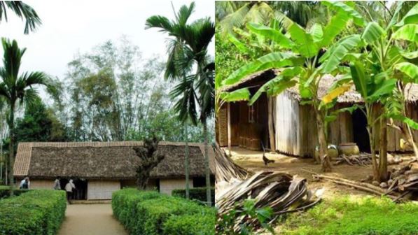 Tại sao người Việt xưa trồng cây trước nhà kiểu “trước cau sau chuối? Hóa ra đó là trí là tuệ uyên thâm Tại sao người Việt xưa trồng cây trước nhà kiểu “trước cau sau chuối? Hóa ra đó là trí là tuệ uyên thâm