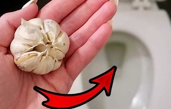 Thả 1 tép tỏi vào bồn cầu, điều kỳ diệu xảy ra, ai cũng tấm tắc khen hay Thả 1 tép tỏi vào bồn cầu, điều kỳ diệu xảy ra, ai cũng tấm tắc khen hay