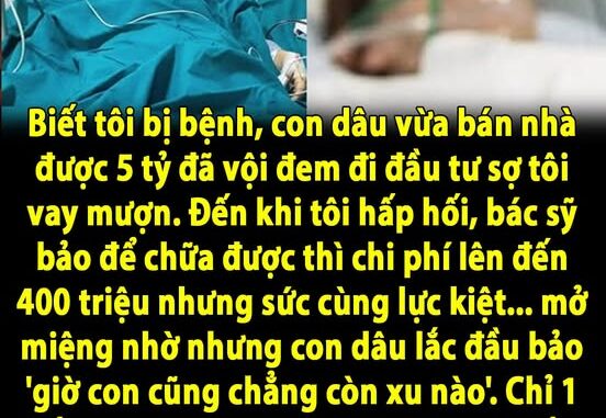 Biết tôi bị bệnh, con dâu vừa bán nhà được 5 tỷ đã vội đem đi đầu tư sợ tôi vay mượn. Đến khi tôi hấp hối, bác sỹ bảo để chữa được thì chi phí lên đến 400 triệu nhưng sức cùng lực kiệt… mở miệng nhờ nhưng con dâu lắc đầu bảo ‘giờ con cũng chẳng còn xu nào’. Chỉ 1 tiếng sau thì con tái mặt nhận cú s-ố-c trời giáng, hóa ra… Biết tôi bị bệnh, con dâu vừa bán nhà được 5 tỷ đã vội đem đi đầu tư sợ tôi vay mượn. Đến khi tôi hấp hối, bác sỹ bảo để chữa được thì chi phí lên đến 400 triệu nhưng sức cùng lực kiệt… mở miệng nhờ nhưng con dâu lắc đầu bảo ‘giờ con cũng chẳng còn xu nào’. Chỉ 1 tiếng sau thì con tái mặt nhận cú s-ố-c trời giáng, hóa ra…