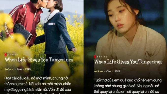 10 lời thoại nhói lòng trong Khi Cuộc Đời Cho Bạn Quả Quýt: Cuối cùng, ai rồi cũng sống như những đứ.a tr.ẻ mồ côi… 10 lời thoại nhói lòng trong Khi Cuộc Đời Cho Bạn Quả Quýt: Cuối cùng, ai rồi cũng sống như những đứ.a tr.ẻ mồ côi…