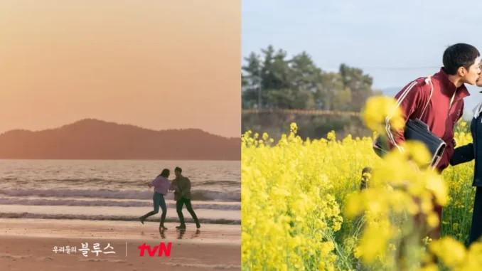 Có một Jeju đẹp nao lòng ở Khi Cuộc Đời Cho Bạn Quả Quýt, ai nhìn qua cũng đắm say cả đời Có một Jeju đẹp nao lòng ở Khi Cuộc Đời Cho Bạn Quả Quýt, ai nhìn qua cũng đắm say cả đời