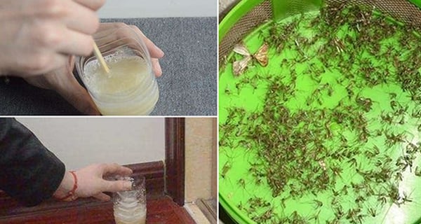 Trộn bột giặt với lon bia uống dở để góc nhà: Muỗi nhiều mấy cũng bị diệt sạch bách Trộn bột giặt với lon bia uống dở để góc nhà: Muỗi nhiều mấy cũng bị diệt sạch bách
