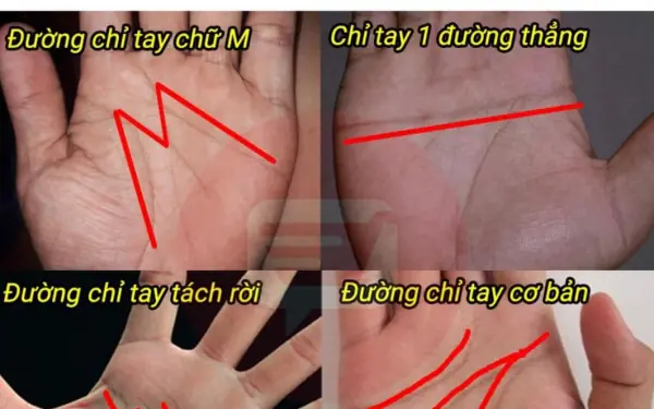Phụ nữ có đường chỉ tay này là số giàu có, phú quý may mắn cả đời Phụ nữ có đường chỉ tay này là số giàu có, phú quý may mắn cả đời