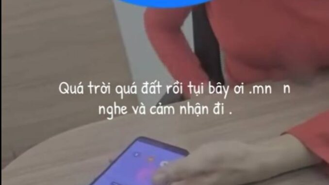Blogtin.News Cập nhập tin tức hay Blogtin.News Cập nhập tin tức hay