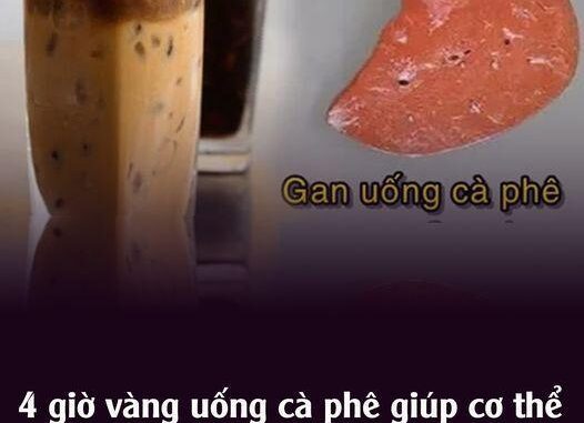 4 giờ vàng uống cà phê giúp cơ thể ‘hưởng lợi’ đủ đường, gan sạch độ c, tiêu hóa trơn tru 4 giờ vàng uống cà phê giúp cơ thể ‘hưởng lợi’ đủ đường, gan sạch độ c, tiêu hóa trơn tru