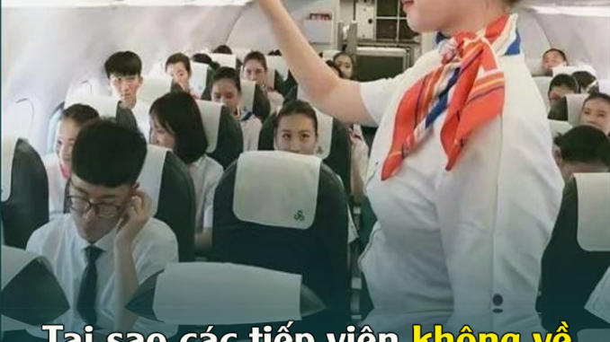 Tại sao các tiếp viên không về nhà sau khi hạ cánh mà thường ngủ qua đêm ở khách sạn 5 sao? Tại sao các tiếp viên không về nhà sau khi hạ cánh mà thường ngủ qua đêm ở khách sạn 5 sao?