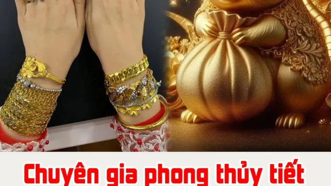 Chuyên gia phong thủy tiết lộ 4 tuổi hợp đeo vàng nhất, càng đeo càng giàu có, hưng thịnh Chuyên gia phong thủy tiết lộ 4 tuổi hợp đeo vàng nhất, càng đeo càng giàu có, hưng thịnh