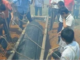 Ra mộ thăm chồng sau 2 ngày chôn cất, vợ bàn;g hoàn;g nghe tiếng kêu: Cho tôi ra ngoài