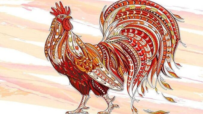 4 con giáp nữ cao số, thường có 2 đời chồng 4 con giáp nữ cao số, thường có 2 đời chồng