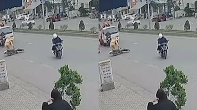 Clip: Tài xế “liều mạng” chạy ngược chiều, lạng lách tránh cảnh sát giao thông, cảnh tượng sau đó khiến ai cũng bất ngờ! Clip: Tài xế “liều mạng” chạy ngược chiều, lạng lách tránh cảnh sát giao thông, cảnh tượng sau đó khiến ai cũng bất ngờ!