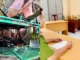 Con nghiệ.n đốt nhà hàng xóm trong đêm