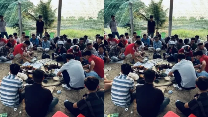 Trường gà trong vườn thu hút cả trăm con bạc “khát nước” mỗi ngày Trường gà trong vườn thu hút cả trăm con bạc “khát nước” mỗi ngày
