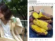 So sánh 1 ly trà sữa ở Starbucks với 4kg khoai lang: màn đáp trả được đồng tình gấp 3 lần bài gốc!