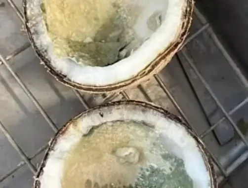 Người đàn ông 69 tuổi TUVONG sau khi uống nước dừa Người đàn ông 69 tuổi TUVONG sau khi uống nước dừa