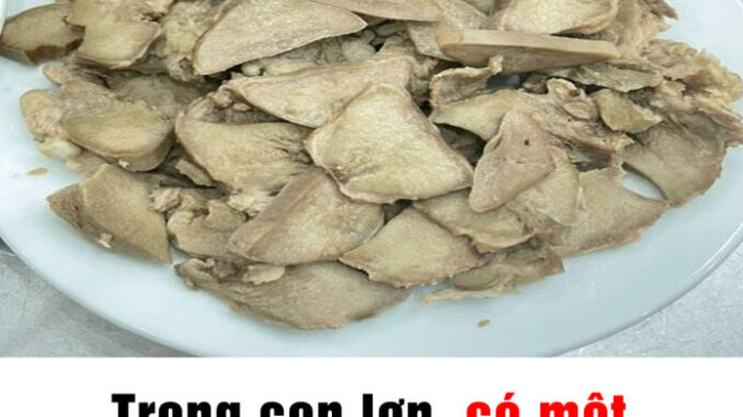 Một bộ phận của lợn nhiều người chê bẩn nhưng có thể đem lại 6 lợi ích tuyệt vời Một bộ phận của lợn nhiều người chê bẩn nhưng có thể đem lại 6 lợi ích tuyệt vời