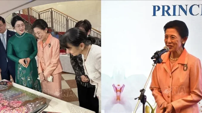 ‘Ngoại giao hoa’ thúc đẩy tình hữu nghị Việt Nam – Nhật Bản ‘Ngoại giao hoa’ thúc đẩy tình hữu nghị Việt Nam – Nhật Bản