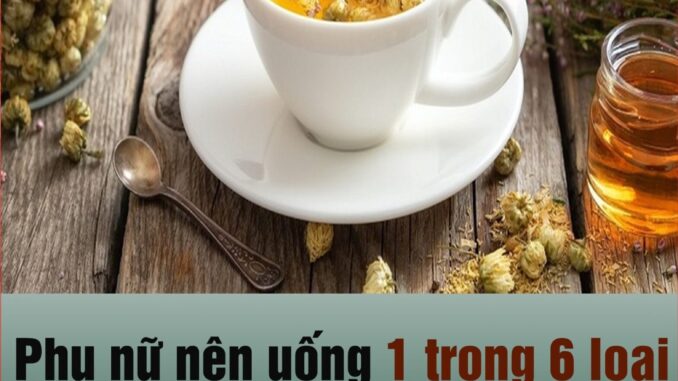 Phụ nữ nên uống 1 trong 6 loại nước này, sau 40 tuổi da vẫn căng mịn, hồng hào Phụ nữ nên uống 1 trong 6 loại nước này, sau 40 tuổi da vẫn căng mịn, hồng hào
