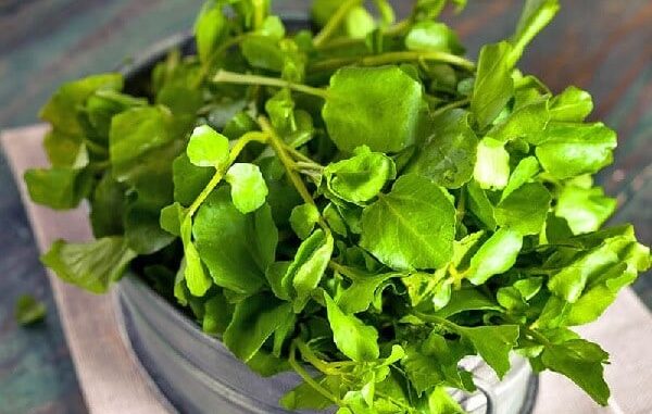 Loại rau chống ung thư được Mỹ đánh giá tốt nhất thế giới: Việt Nam có đầy ngoài chợ Loại rau chống ung thư được Mỹ đánh giá tốt nhất thế giới: Việt Nam có đầy ngoài chợ