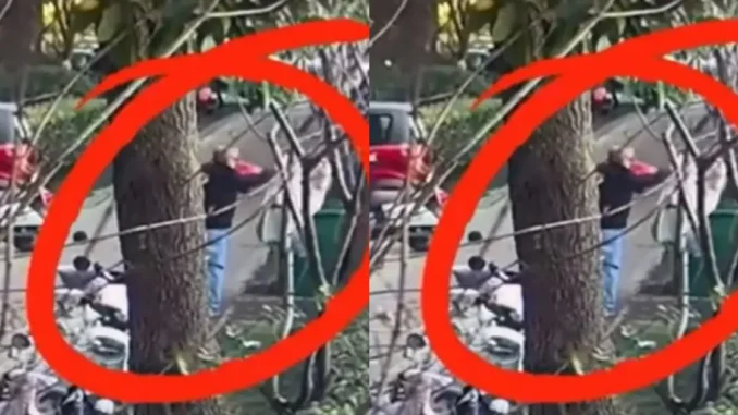 Cha già nằm viện, con trai dọn nhà vô tình ném hơn nửa tỷ đồng ra thùng rác Cha già nằm viện, con trai dọn nhà vô tình ném hơn nửa tỷ đồng ra thùng rác