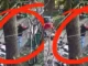 Cha già nằm viện, con trai dọn nhà vô tình ném hơn nửa tỷ đồng ra thùng rác