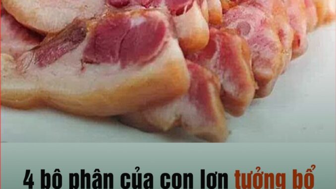 4 bộ phận của con lợn tưởng bổ nhưng cực bẩn, BS nói: Muốn ngừa bệnh tật thì nên hạn chế ăn vào 4 bộ phận của con lợn tưởng bổ nhưng cực bẩn, BS nói: Muốn ngừa bệnh tật thì nên hạn chế ăn vào