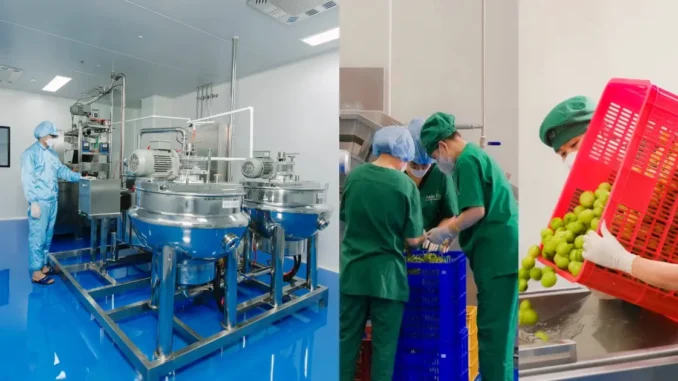 Dây chuyền sản xuất kẹo rau củ Kera được quảng cáo ra sao? Dây chuyền sản xuất kẹo rau củ Kera được quảng cáo ra sao?