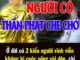 Ở đời có 2 kiểu người vĩnh viễn không bị cuộc sống vùi dập, chỉ cần sống tốt trời xanh sẽ an bài