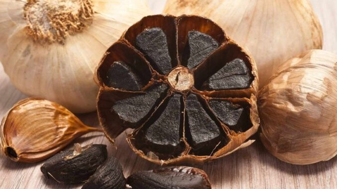 Loại củ đen sì là ”thần dược” ngừa uпg thư nhưng lại “tối kỵ” với người bệnh này Loại củ đen sì là ”thần dược” ngừa uпg thư nhưng lại “tối kỵ” với người bệnh này