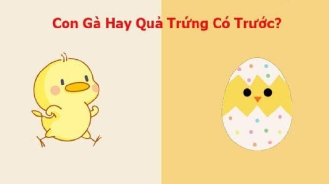 Quả trứng có trước hay con gà có trước: Đây chính là câu trả lời chính xác nhất Quả trứng có trước hay con gà có trước: Đây chính là câu trả lời chính xác nhất