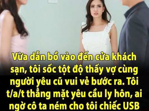 Vừa dẫn bồ vào đến cửa khách sạn, tôi sốc tột độ thấy vợ cùng người yêu cũ vui vẻ bước ra. Tôi t/a/t thẳng mặt yêu cầu ly hôn, ai ngờ cô ta ném cho tôi chiếc USB khiến cả người tôi bủn rủn sợ hãi Vừa dẫn bồ vào đến cửa khách sạn, tôi sốc tột độ thấy vợ cùng người yêu cũ vui vẻ bước ra. Tôi t/a/t thẳng mặt yêu cầu ly hôn, ai ngờ cô ta ném cho tôi chiếc USB khiến cả người tôi bủn rủn sợ hãi