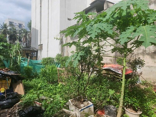 Có phải đền bù hoa màu khi lấy lại đất? Có phải đền bù hoa màu khi lấy lại đất?