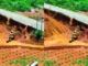 Công an điều tra vụ khai thác đất trái phép ở Lâm Đồng