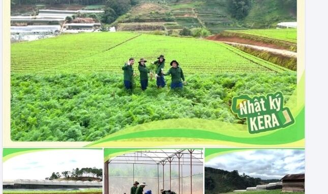 Thực hư vùng nguyên liệu kẹo Kera của Quang Linh Vlogs và Hằng Du Mục ở Đắk Lắk Thực hư vùng nguyên liệu kẹo Kera của Quang Linh Vlogs và Hằng Du Mục ở Đắk Lắk