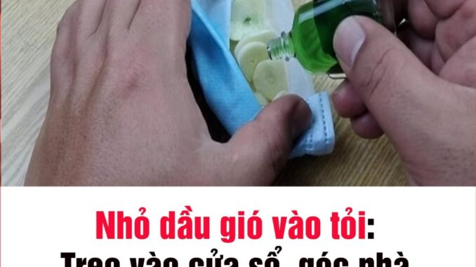 Nhỏ dầu gió vào tỏi: Treo vào cửa sổ, góc nhà có công dụng tuyệt vời