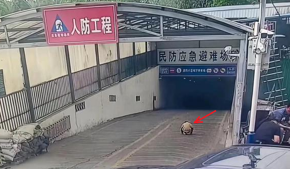 Ông nội đón cháu trai tan học nhưng lại không về thẳng nhà, came:ra ghi lại khoảnh khắc ki:nh ho:àng Ông nội đón cháu trai tan học nhưng lại không về thẳng nhà, came:ra ghi lại khoảnh khắc ki:nh ho:àng