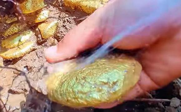 Chuyên gia dự đoán: Nhà và tiền mặt có thể mất giá trị trong 10 năm tới, 6 thứ này sẽ trở nên giá trị hơn Chuyên gia dự đoán: Nhà và tiền mặt có thể mất giá trị trong 10 năm tới, 6 thứ này sẽ trở nên giá trị hơn