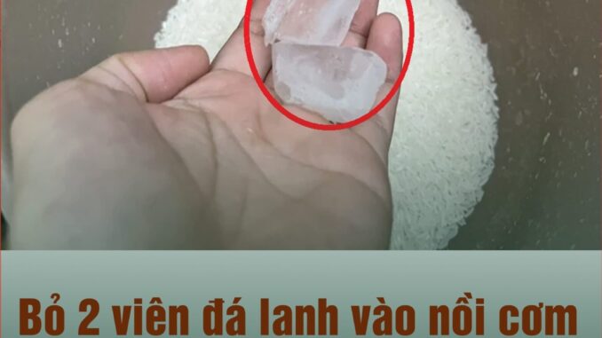 Bỏ 2 viên đá lạnh vào nồi cơm công dụng “vàng 10”, ai đọc xong cũng muốn thử Bỏ 2 viên đá lạnh vào nồi cơm công dụng “vàng 10”, ai đọc xong cũng muốn thử